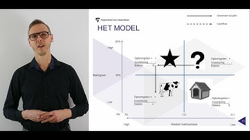 BCG (Boston Consultancy Group) portfolio analyse