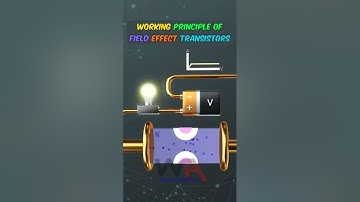 Working of Field Effect Transistors FET #fet #fieldeffectransistor #diyelectronics