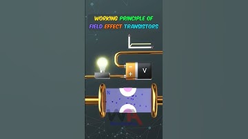 Working of Field Effect Transistors FET #fet #fieldeffectransistor #diyelectronics