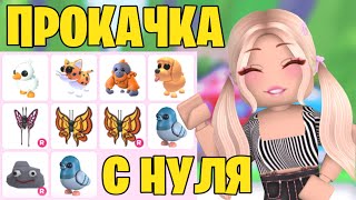 АДОПТ МИ С НУЛЯ! КАК ПРОКАЧАТЬСЯ В АДОПТ МИ? ОТ НУБА ДО ПРО! | Adopt me Roblox