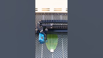 🍃Amazing experience: Engrave on leaf!!🌱🤠 #diyprojects #thunderlaser #lasercutting #laserengraving