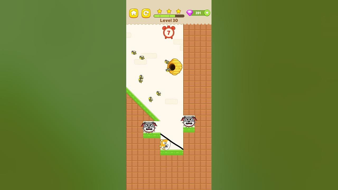 Max Level Save The Dog Dog Escape Game chase mood All Levels New