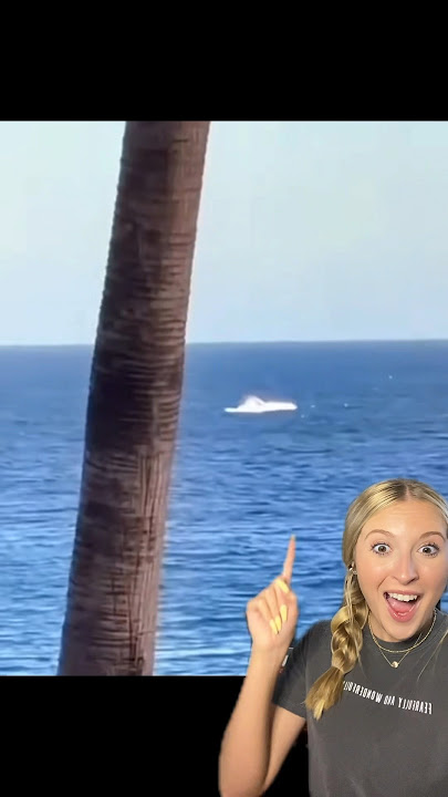 She Prayed to See Whale and THIS Happened?!🤯🐋 #whale #prayer #miracle #God #supernatural #shorts