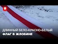 Жители Жлобина вышли на акцию солидарности и развернули длинный бело-красно-белый флаг