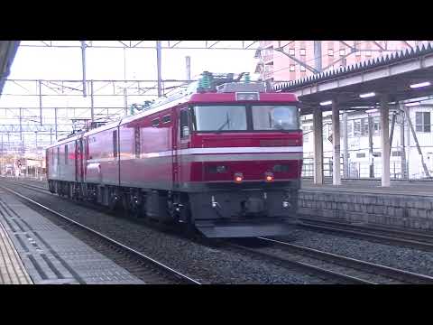 2022/3/7 青い森鉄道 EH500-79+ムド EH800-901 大宮出場 八戸駅通過