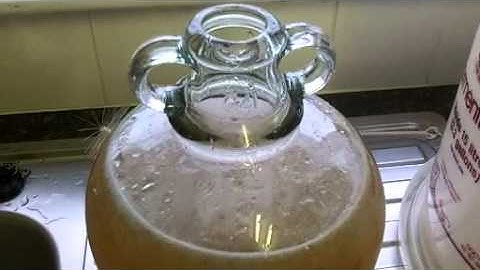 Fun making apple and pear wine part 2