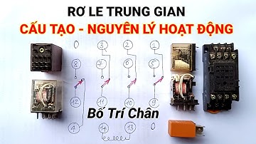 Rơ le trung gian, cấu tạo, nguyên lý hoạt động, sơ đồ bố trí chân những điều cần biết.