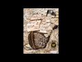 Herts SU Drama's 'Treasure Island' OST