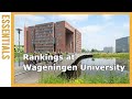 Rankings at wageningen university  research  best university 2024  wurtube