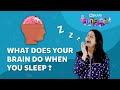 What happens to your brain while you sleep  byjus fun facts