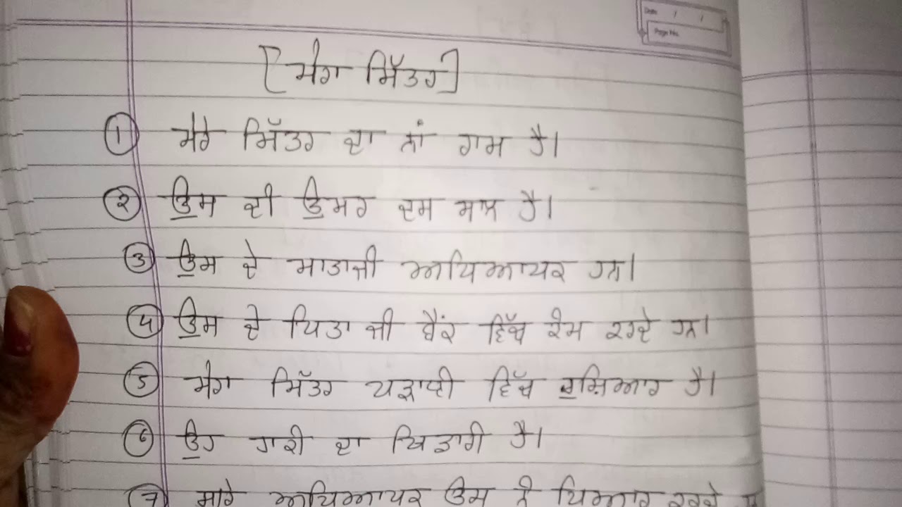 essay on my brother in punjabi language
