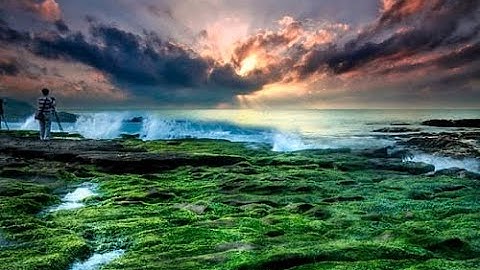 INTRODUCTION TO BUSINESS ECONOMICS l PART II  l FYBCOM l SEM  I l MU l 2020