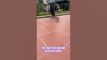 The child cried and ran after his father. #monkey