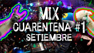 Mix Cuarentena # 1 Setiembre 2020 Agresivo - BAD BUNNY J BALVIN GUAYNAA SOLTERA MORADO DJ PELIGRO