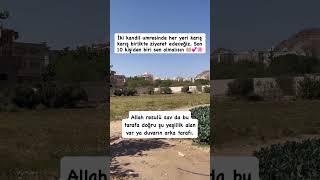 Bilgi Ve Kayıt 05524170654