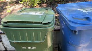 Do Pizza Boxes Go in the Green or Blue Bin (Compost or Recycle)?