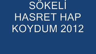 Sökeli Hasret - Hap Koydum 2012 Albüm. Resimi