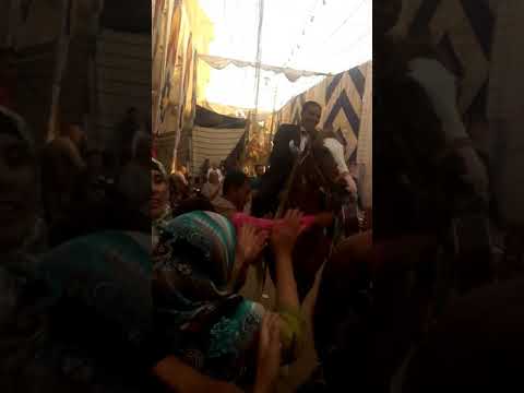 مجدي الخولي