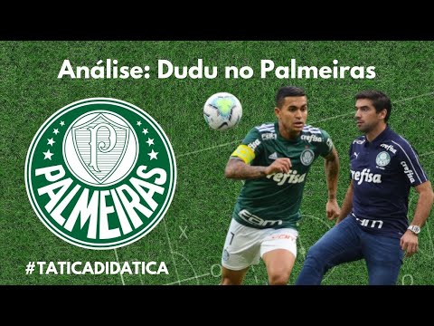 Análise: Como Abel irá aproveitar Dudu no Palmeiras