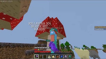 WOLFRAM | MINECRAFT HACKED CLIENT REVIEW | PVP | 1.9