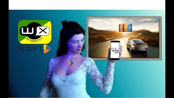 WX - Exemplo completo de como fazer um Webservice com Webdev e Windev Mobile