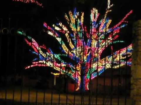 tree wrapped in christmas lights youtube tree wrapped in christmas lights youtube