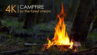 Forest Campfire by a Small Stream  Soothing Sounds of Nature