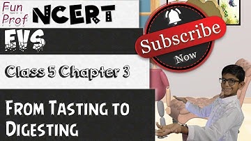 NCERT Class 5 EVS Chapter 3: From Tasting to Digesting | English | CBSE (NSO/NSTSE)