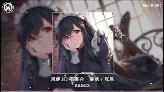 张朕 & 婉枫 - 风经过 唱离合 / Gió Thoảng Qua Khúc Hát Hợp Tan (抖音DJ版) I Remix Tiktok/Douyin