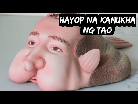 Video: Nose-star: Mga Tampok Na Katangian Ng Hayop