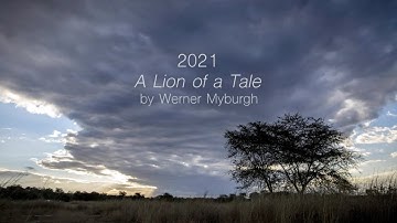 2021: A Lion