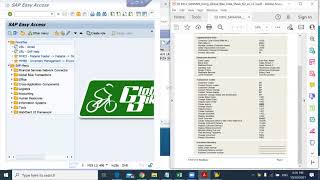 Celebrity SD Case Study Step 1 Create BusinessPartner Net Worth