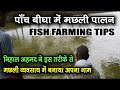 Fish Farming ( मछली पालन) Business में खेती से 12 गुणा ज्यादा फायदा, इस बिजनेस में कैसे अमीर बनें? 💡