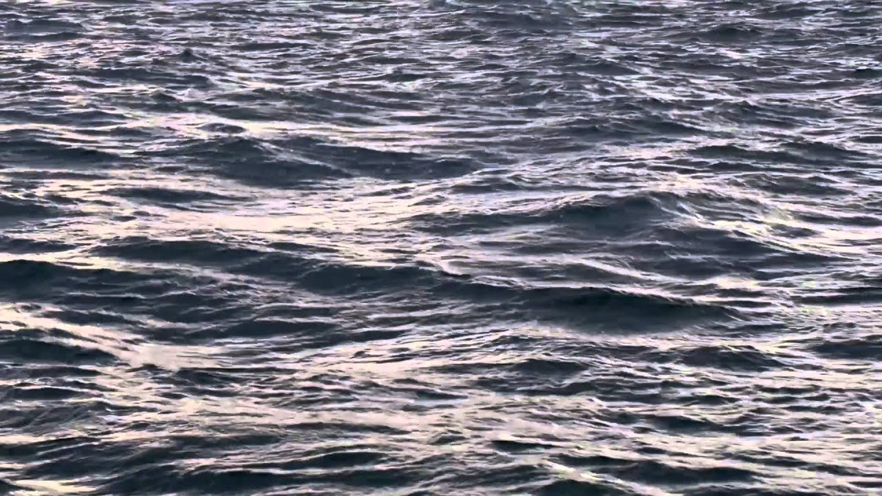 Une journée à bord du Bali 4.5 Open Space