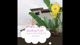 Download Lagu Sp Anti Galau vs PJW,Inap Koloni, usia On 1 bulan 5 hari.....👍 MP3