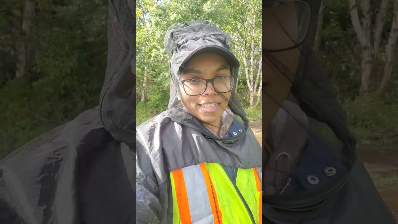 අලවල පොත්ත ඉක්මන්ට හයි කරගන්න කියලා ගහට මැසේජ් යවන්නෙ මෙහෙමයි | Canada Sinhala Vlogs | 