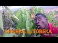 NYANDA LUTOBEKA Free Mason 