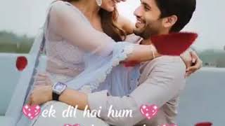 ❤💗💗Ek Dil Hai Hum Ek Jaan Hai WhatsApp status