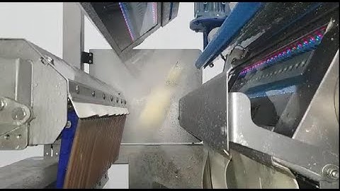 Raynbow sorting machine for peeled potatoes | RAYTEC VISION SpA