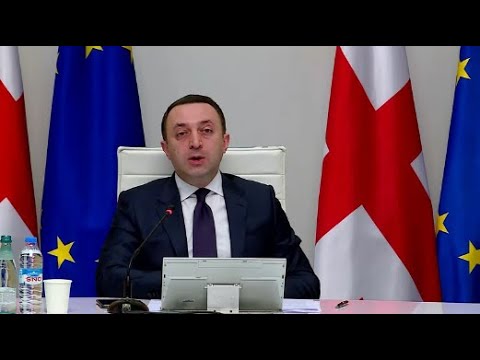 \"ხელოვნურად შექმნილი ე.წ. კრიზისი,  სინამდვილეში თავად რადიკალური ოპოზიციის მწვავე კრიზისია\"