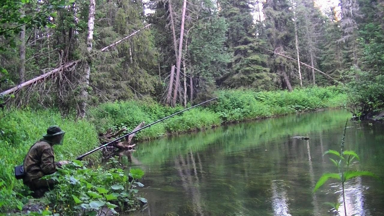 рыбалка на таёжной речке