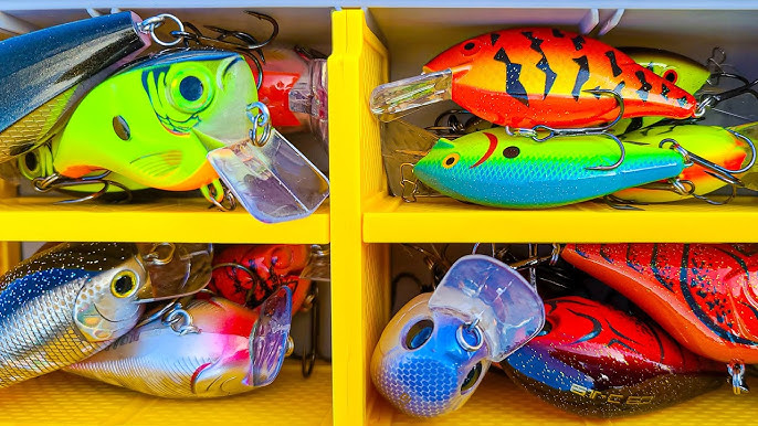 What Lures to Use in Dingy or Stained Water - Bass Fishing 