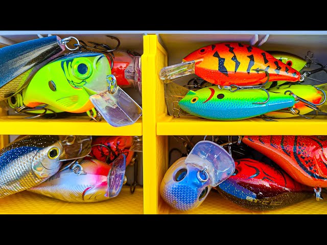 How To Catch Bass In Muddy Water: Spinnerbait, Crankbait, and Jig Fishing  Tips! 