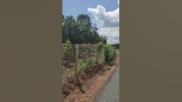 đất đẹp, lưng tựa núi mặt nhìn sông. giá 4 tỷ 500k.0393921272