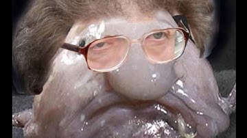 1 Bit 2 Bit 4 Bit 8 Bit 16 BIT 32 Bit 128 Bit 256 Bit 512 Bit 1024 Bit 2048 Bit 4096 Bit 8192 Bit