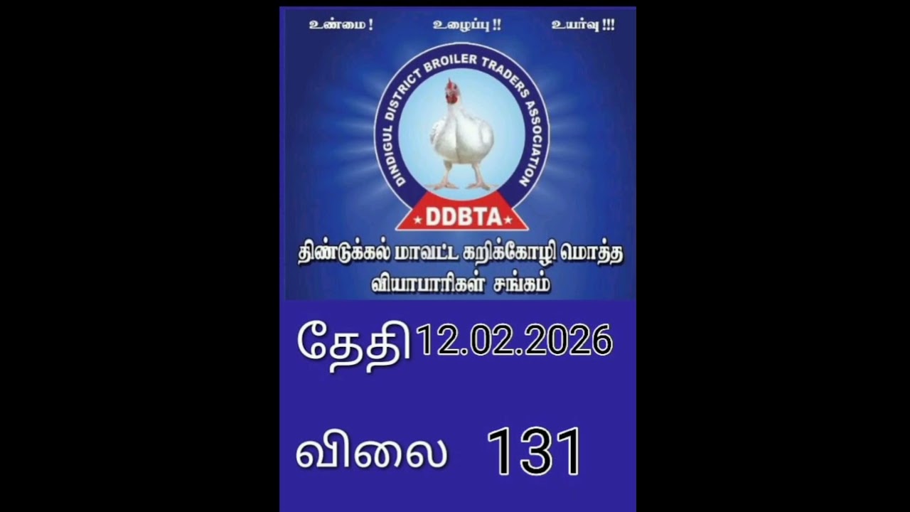 dindigul chicken rate | today chicken rate