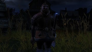 The Witcher: Enhanced Edition - Geralt saves Zoltan (1080p)