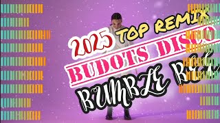 Download Lagu BUMBLE BEE MEGA MIX BUDOTS DISCO 2025 MP3
