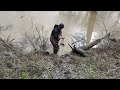 Setting a beaver foothold on a drowner