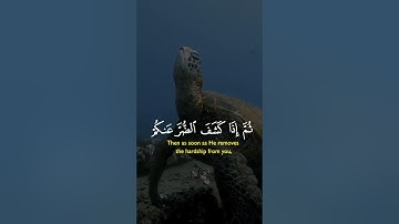 ومابكم #تلاوة_خاشعة #اكسبلور #دويتو #تلاوة_مميزة #إسلاميات